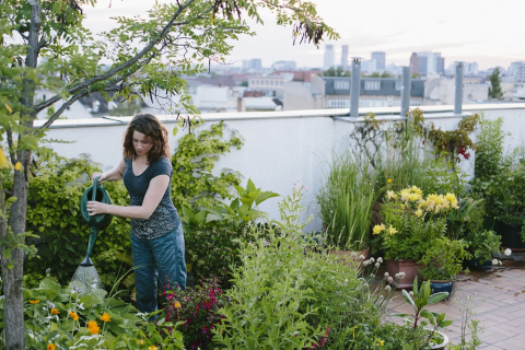 Genoeg planten in de tuin zorgen voor goede wateropname