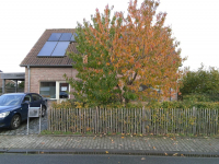 recent herfstzicht vanaf de straat